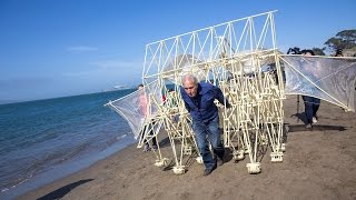 Adam Savage Meets Theo Jansens Strandbeest [upl. by Dinnie]