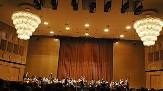 Mendelssohn Concerto clip  Leipzig Gewandhaus Leonid Sushansky violin Anima Musicae Orchestra [upl. by Rola551]