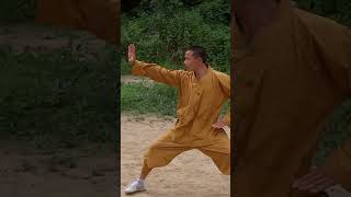 The Shaolin Headmasters Meditative Kung Fu Practice  Shaolin Temple Yunnan [upl. by Forland]