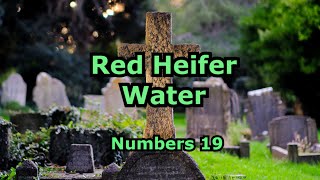 Red Heifer Water Numbers 19 [upl. by Ahsika432]