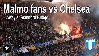 Malmo fans European Tour 90 minutes of noise at Chelsea [upl. by Arvonio558]