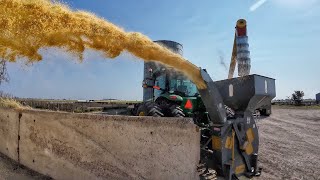 Wet Corn Harvest [upl. by Ravid]