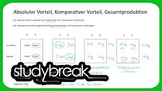 Absoluter Vorteil Komparativer Vorteil Gesamtproduktion  Volkswirtschaftslehre [upl. by Ainomar]