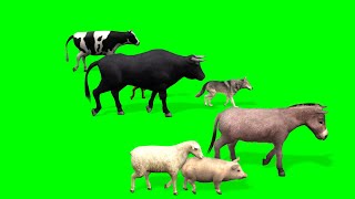 Pet Animal Stampede Green Screen 4K [upl. by Adnilak]