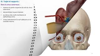 ANATOMIE FMPM NERF OCULOMOTEUR [upl. by Dadelos694]