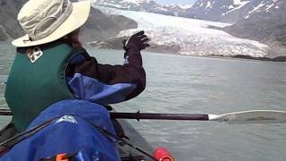 Glacial Retreat of Riggs Glacier Glacier Bay National Park Alaska [upl. by Hola]