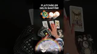 PLATONİKLER GELİN BAKIYIM 1k tarot tarotacilimi açılım tarotreading frekans tarotcards tarot [upl. by Evette]