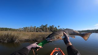 Crystal River Kayak Fishing The Nature Coast  Yankeetown Florida Back Country [upl. by Amlez]