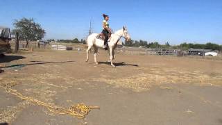 Paint Horse For Sale gelding  Cisco SOLD [upl. by Neerahs152]