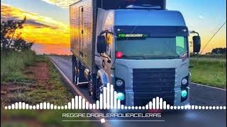 Especial pra galera que bota pressão  Reggae Mix 🚛🇧🇷🔥 [upl. by Barfuss]