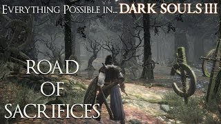 Dark Souls 3  Everything possible in Road of Sacrifices Walkthrough [upl. by Aicnorev917]