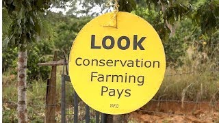 CA CONSERVATION AGRICULTURE IN KENYA [upl. by Hacissej]