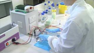 Running an Agarose Gel  University of Leicester [upl. by Lucania]