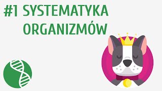 Systematyka organizmów 1  Różnorodność i klasyfikacja organizmów [upl. by Forland482]