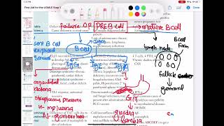 Bruton agammaglobulinemia immunology 50  First Aid USMLE Step 1 in UrduHindi [upl. by Eleen]