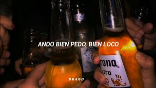 Banda Los Recoditos  Ando Bien Pedo Letra [upl. by Nnylhtak]