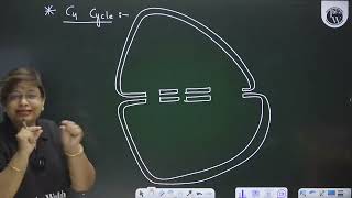 Photosynthesis in Higher Plants 06  Photorespiration C₂ Cycle Glycolate metabolismmp4 [upl. by Lippold]