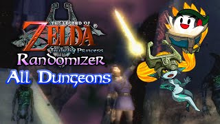 Swords of All Time  Twilight Princess Rando All Dungeons [upl. by Ymot]