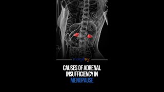 Causes of Adrenal Insufficiency During Menopause [upl. by Rehpotsirhk]