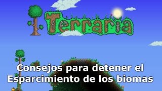 Consejos para detener el Esparcimiento  Terraria 1241 [upl. by Pancho773]