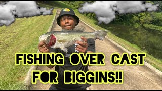 Fishing OverCast For Big Bass [upl. by Eilsil277]