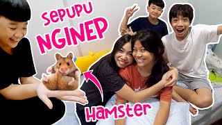 24 JAM SEPUPU NGINAP DI RUMAH KOK TAKUT MAIN HAMSTER  Vlog Lucu  CnX Adventurers [upl. by Jazmin990]