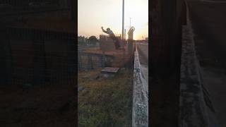 T0rc1 o tornozelo na precisão parkour fail [upl. by Lajes]