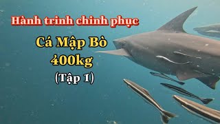 Hành Trình Tìm Cá Mập Bò 400kg  tập 1 [upl. by Alarice]