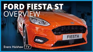 Ford Fiesta STLine Overview Walkaround and features  Evans Halshaw TV [upl. by Chet966]