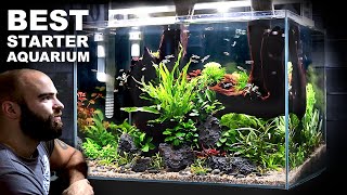 The Budget Aquarium Setup You Cannot Miss [upl. by Getraer322]