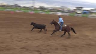 2020 Nutrien Classic Stallion Shootout Rd 2 Hazelwood Mantic amp Terry Hall  89 [upl. by Eupheemia438]