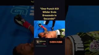 Wilder’s 1st Round Destruction of Breazeale Pure Power [upl. by Assirec159]