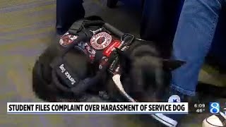 Student files complaint over harassment of service dog [upl. by Akiria]