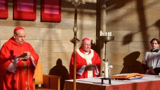 2014 Synod of Bishops Pentecost Vigil Eucharist Old Catholic Confederation [upl. by Iaras]