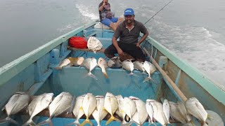 BIG TIME CATCH OF GTS AROUND ZUARI RIVER IN GOA WITH LUCANA TOPAZ SILVER JIGS [upl. by Rentsch]