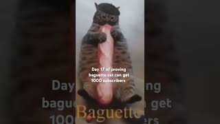 Baguette cat day 17 [upl. by Niletac414]