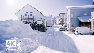 3 Hours of Beautiful Snow Walks in Finland  Slow TV 4K [upl. by Ahtanaram88]