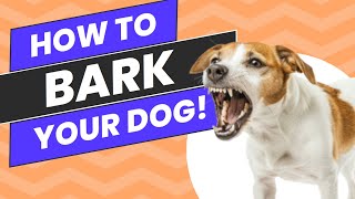 Make Your Dog Bark  Beats and Sounds Official [upl. by Foy]