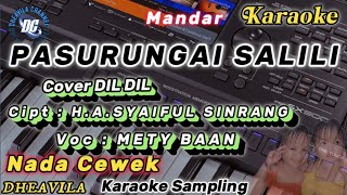 pasurungai salili karaoke cover dil dil [upl. by Renick]