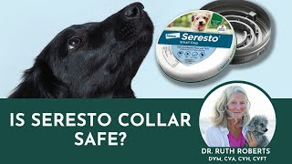 The Truth About Flea Control and Seresto Collars  A MustKnow Guide for Pet Owners [upl. by Yllom]