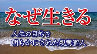 【浄土真宗親鸞会】なぜ生きる｜人生の目的を明らかにされた親鸞聖人 [upl. by Rai]