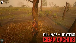 Red Dead Redemption 2  ALL 10 Cigar Orchids Locations amp Maps COMPLETE  RDR2 [upl. by Adroj]