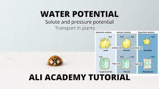 Water Potential Lecture In Detail  Class 11 Biology [upl. by My844]