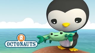 Octonauts Crabs amp Enemy Anemones Trouble [upl. by Adnoyek]