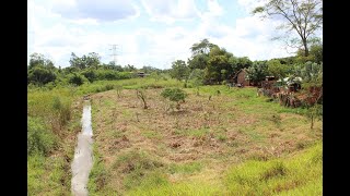 OS DESAFIOS DA REVITALIZAÇÃO DO CÓRREGO JAGUAPIRU [upl. by Garges599]