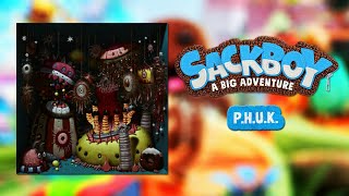 Sackboy A Big Adventure OST  PHUK [upl. by Airamasor]