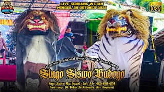 Akti Singo Barong Bareng Pawange Singo Siswo Budoyo 🔴 LIVE Sendang Wetan 291023 rafabudoyo [upl. by Lopez]