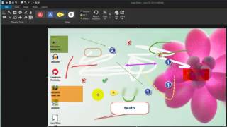 Come catturare immagini e registrare video dallo schermo con Snagit 12 [upl. by Cherian]