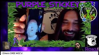 Deron Miller of 96 Bitter Beings  CKY Talks about his Signature Esoterik Guitar w PURPLESTICKEY [upl. by Darnoc823]