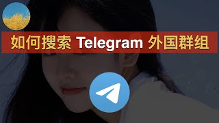 【2024最新】如何搜索 Telegram 外国群组？2个方法让你找到电报（TG）的外国群组和频道｜Telegram群组｜电报群｜电报群组搜索｜数字牧民LC [upl. by Hanny104]